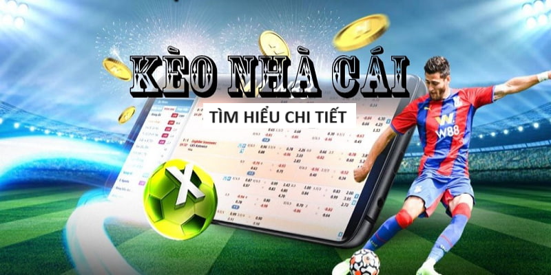 Lịch Euro Hôm Nay Mới Nhất Từ Chuyên Gia Bóng Đá